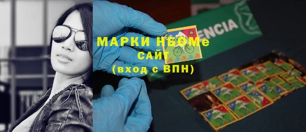 индика Дмитров