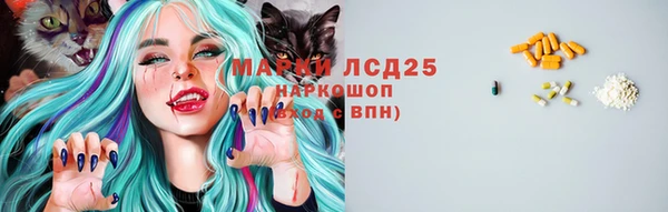 гидра Гусиноозёрск