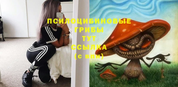 mdma Гусь-Хрустальный
