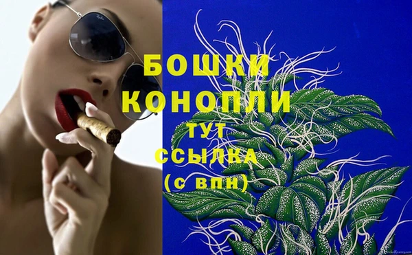 гидра Гусиноозёрск