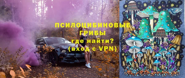 mix Сосновый Бор